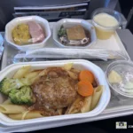 jal-flight-review