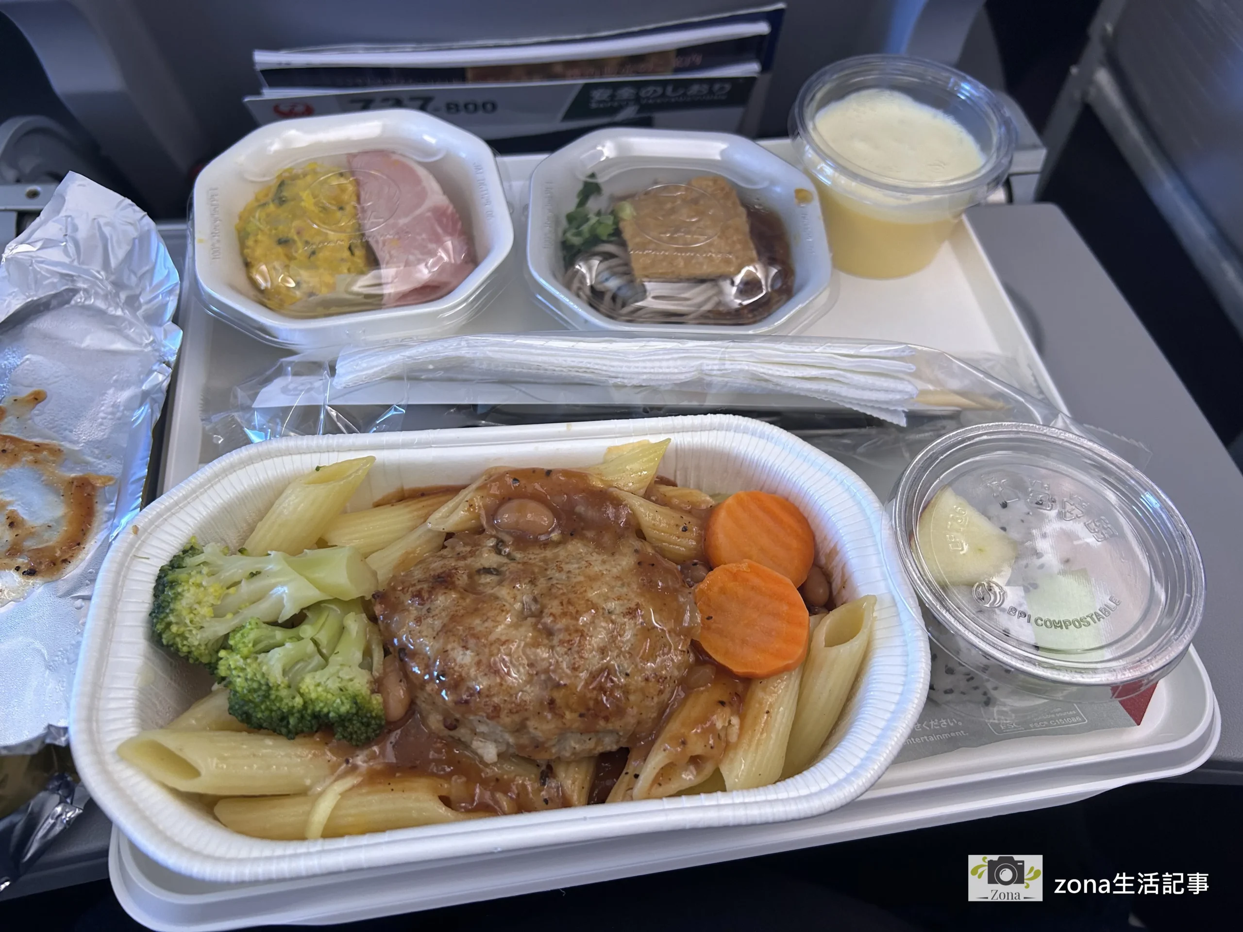 jal-flight-review